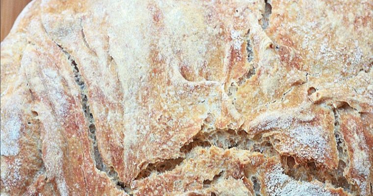 No Knead Bread – Pane senza impasto con lievito madre